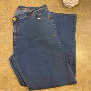 Apple Bottoms Jeans Women’s Plus Size 24